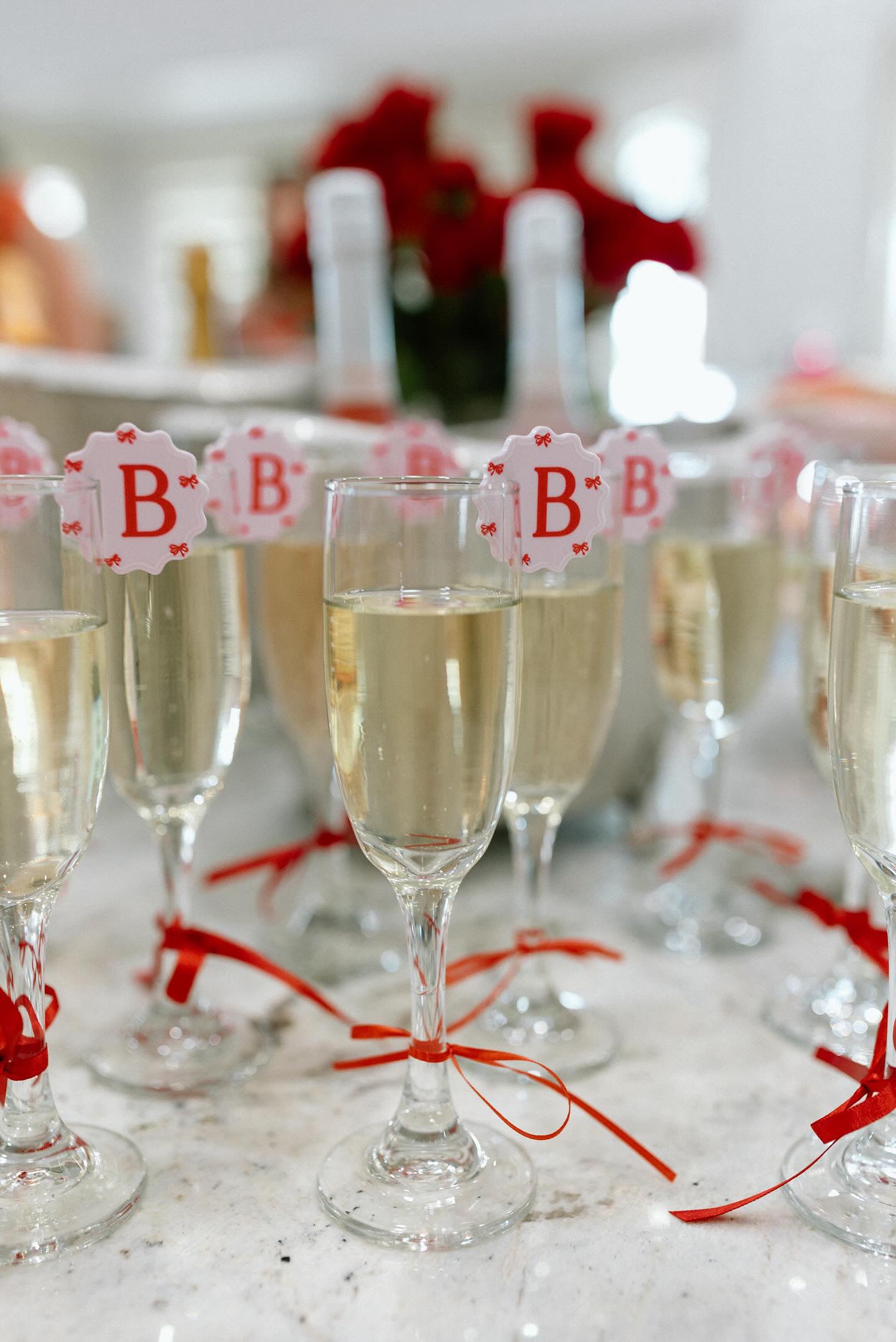 Bow and Cherries Drink Tags